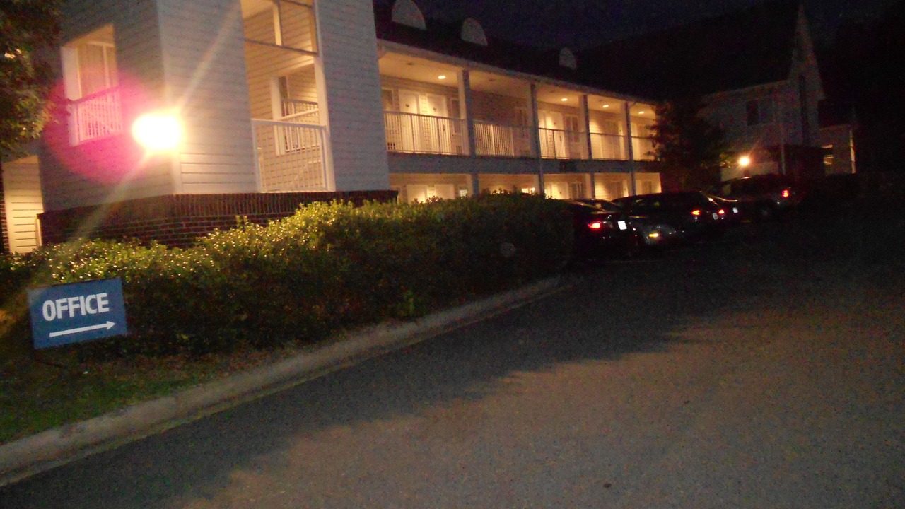 Photo of Outdoor in East Forest