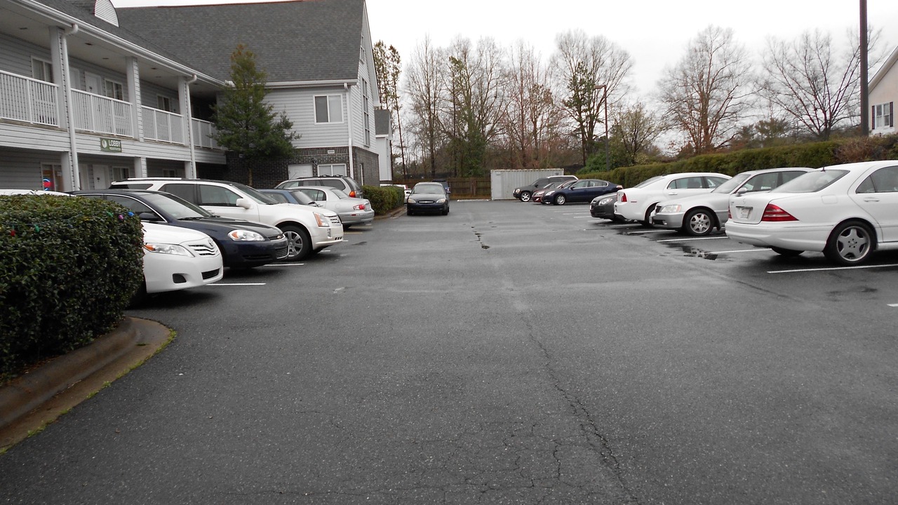 Photo of Others in East Forest