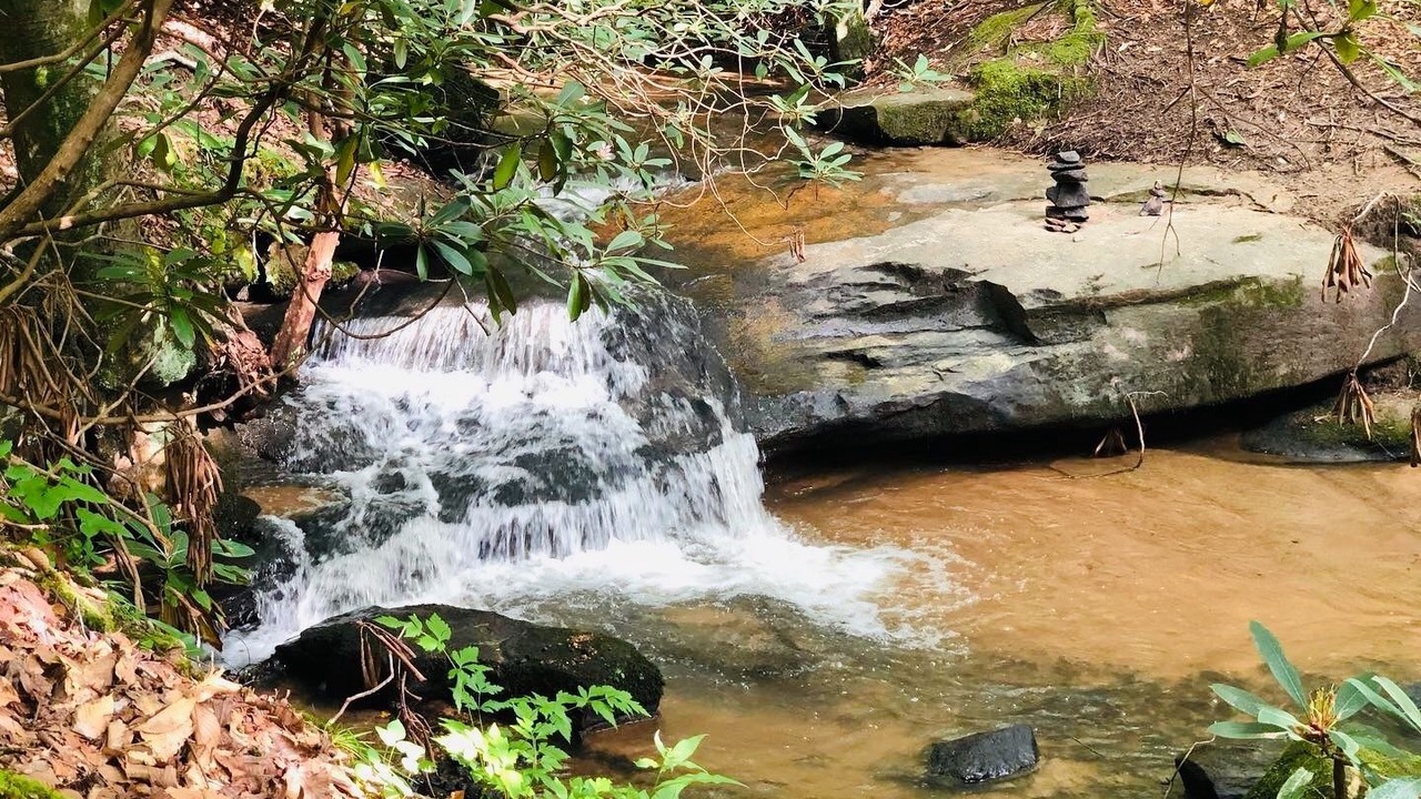 Photo of Outdoor in Flat Rock
