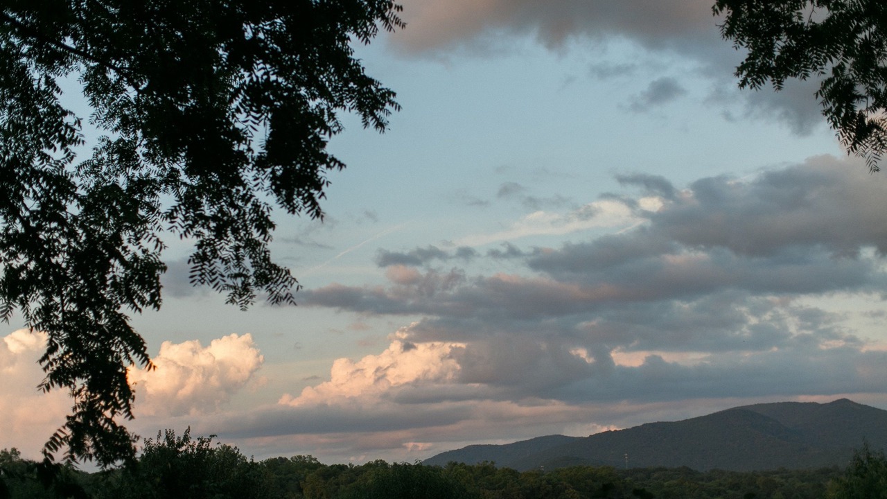 Photo of Others in Asheville