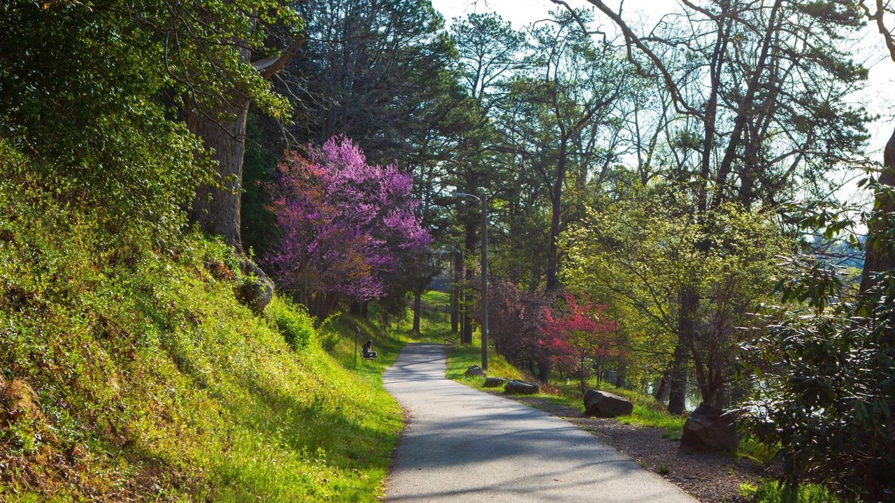 Photo of Outdoor in Lake Junaluska