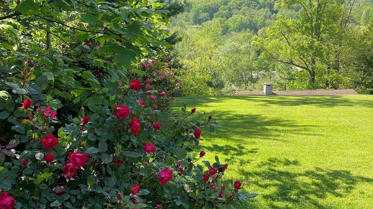Photo of Outdoor in Waynesville