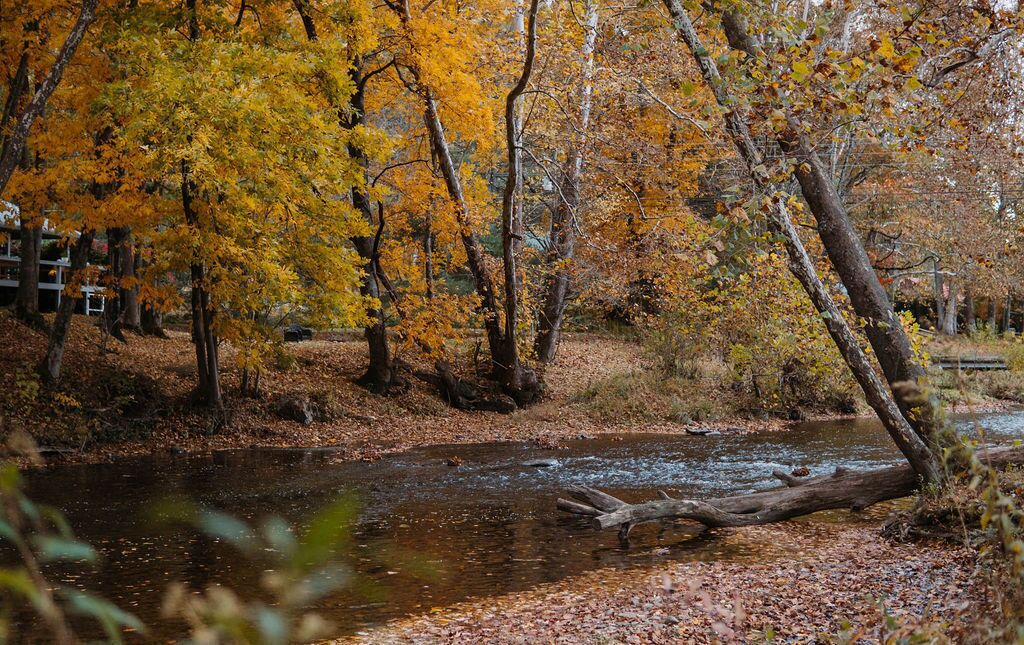 Photo of Outdoor in Boone