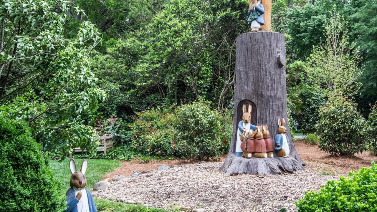 Photo of Outdoor in Myers Park