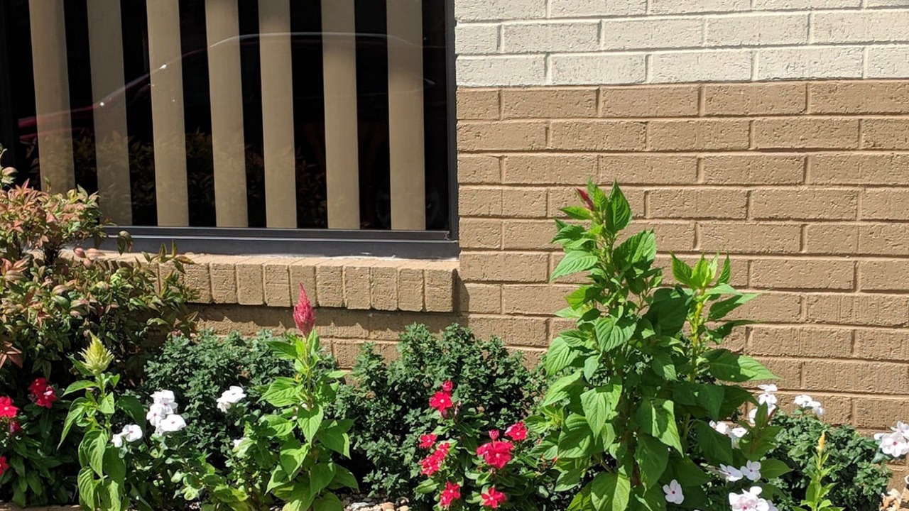 Photo of Outdoor in Rockingham