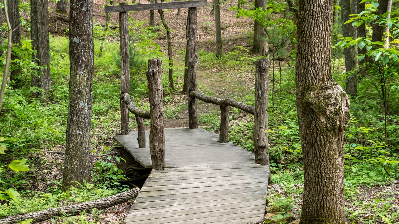 Photo of Outdoor in Arden