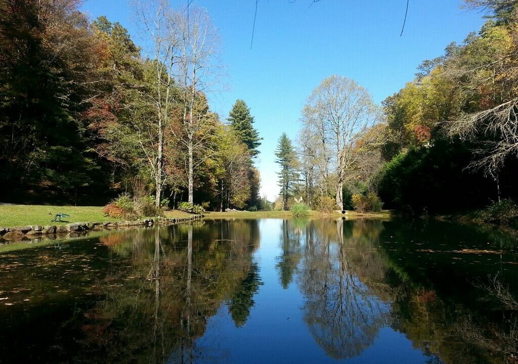 Photo of Others in Brevard