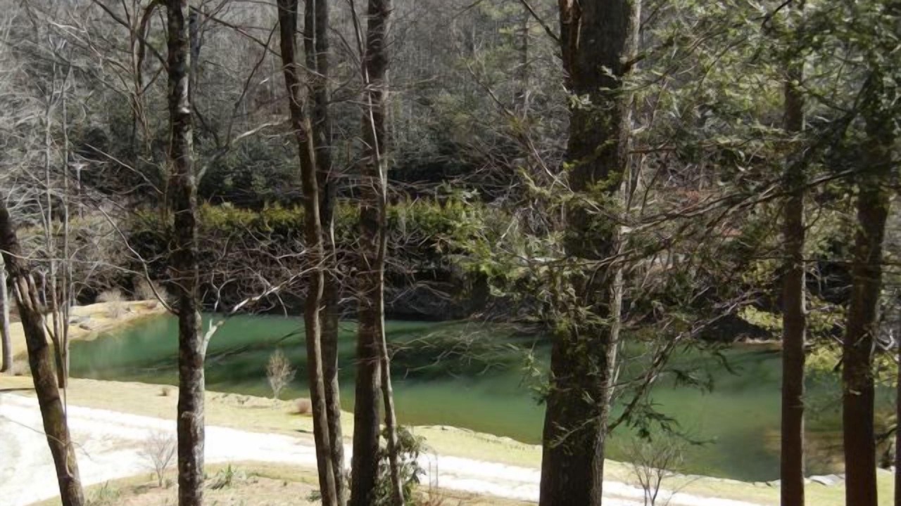Photo of Outdoor in Brevard