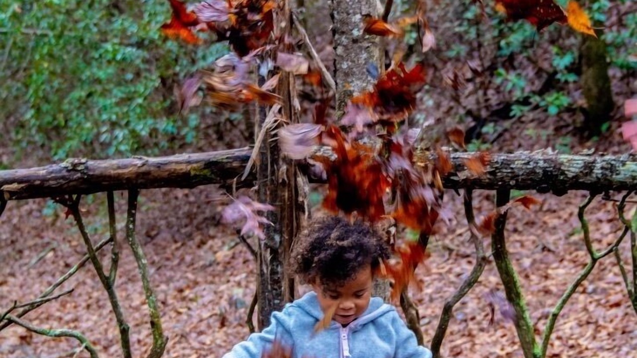 Photo of Outdoor in Brevard