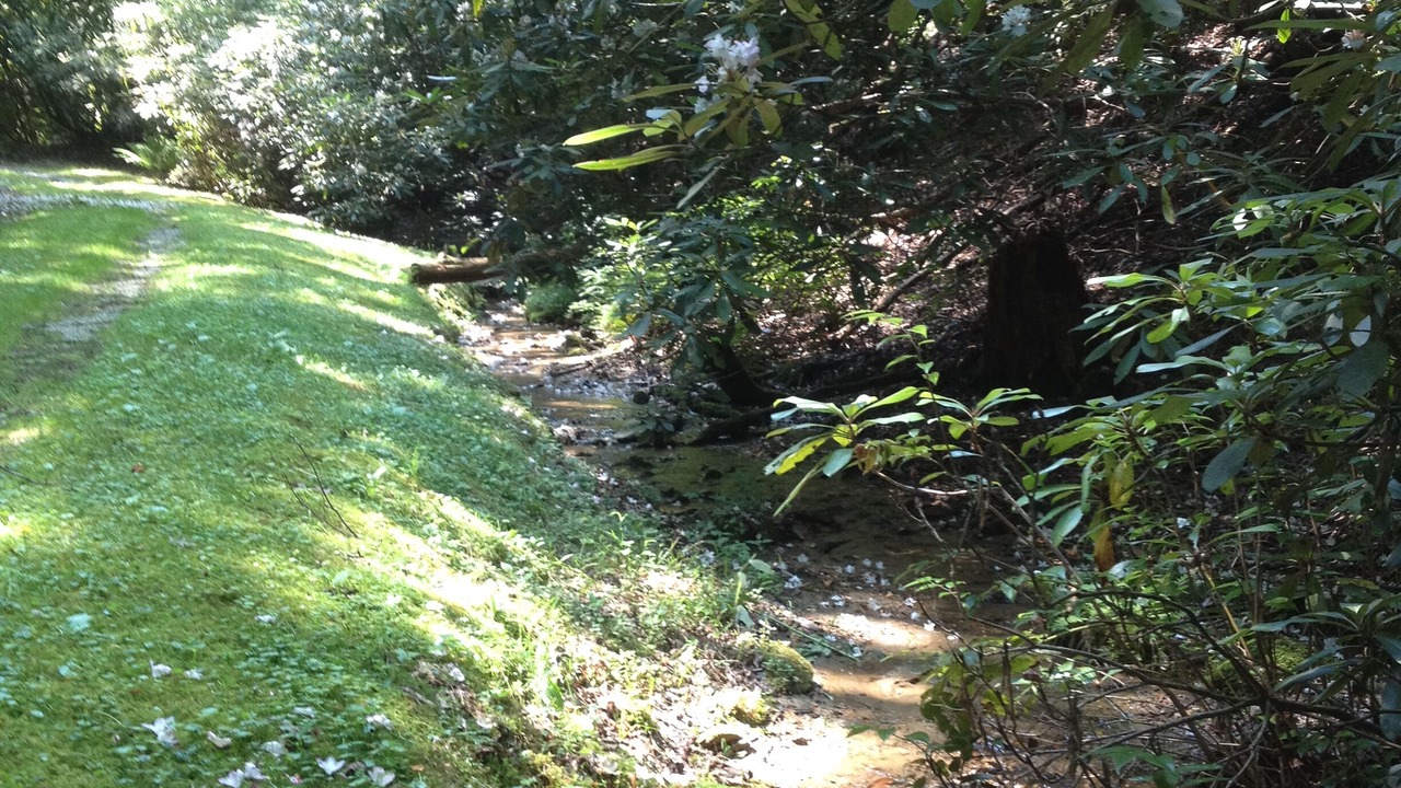 Photo of Outdoor in Brevard