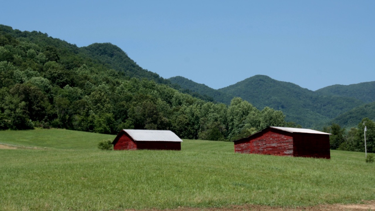 Photo of Outdoor in Weaverville