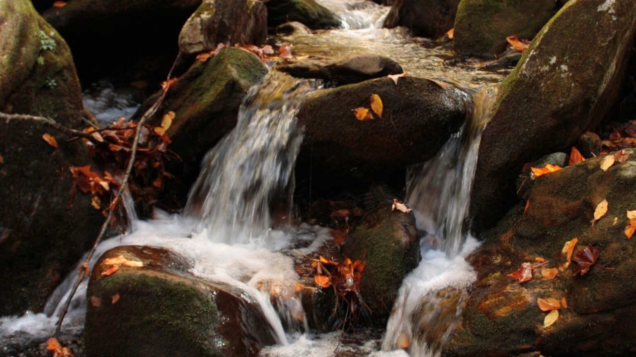 Photo of Outdoor in Weaverville