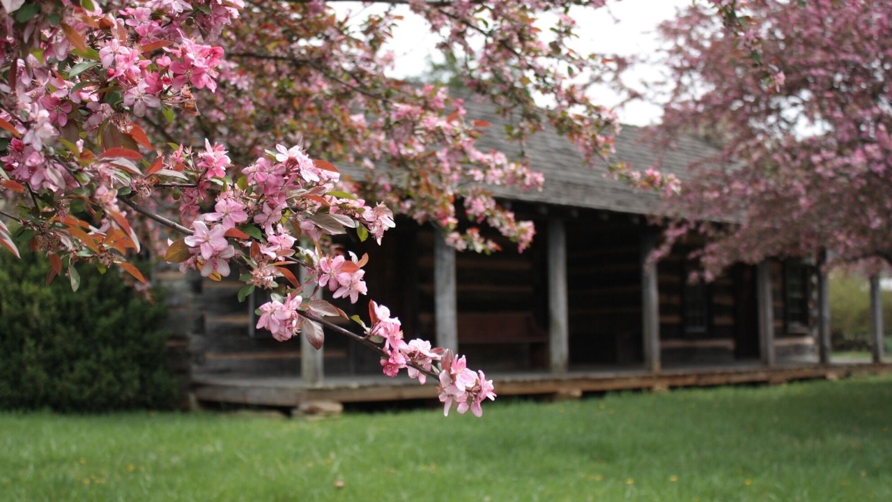Photo of Outdoor in Weaverville