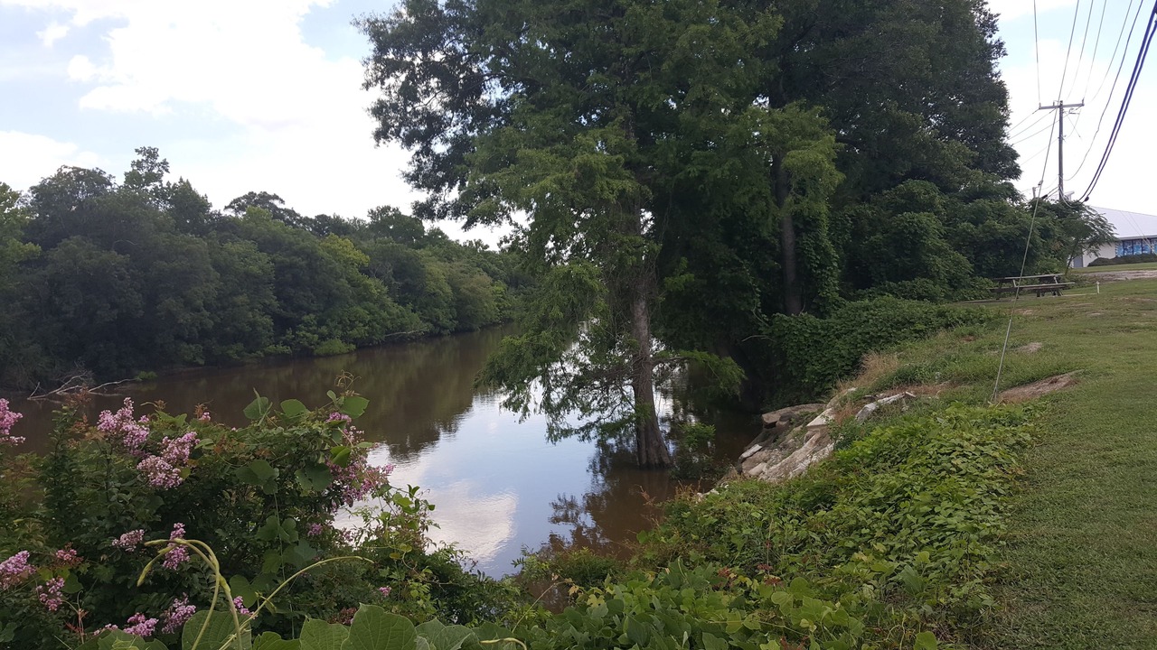 Photo of Outdoor in Kinston