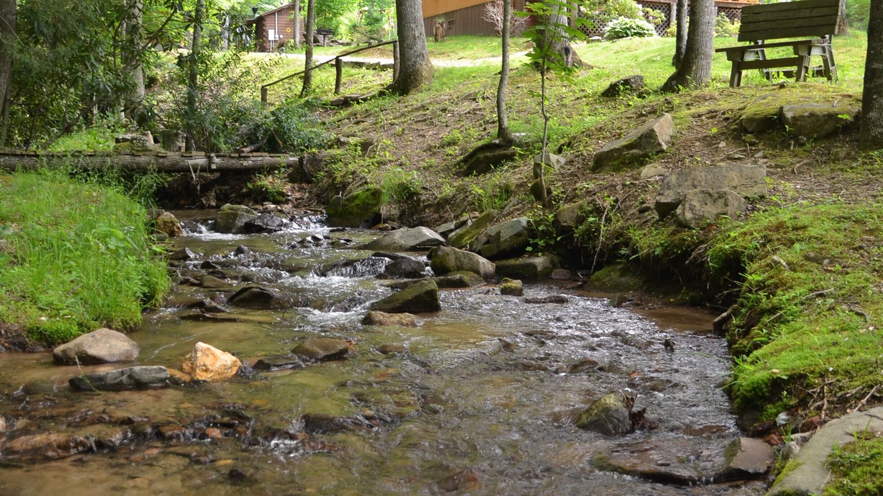 Photo of Others in Cherokee