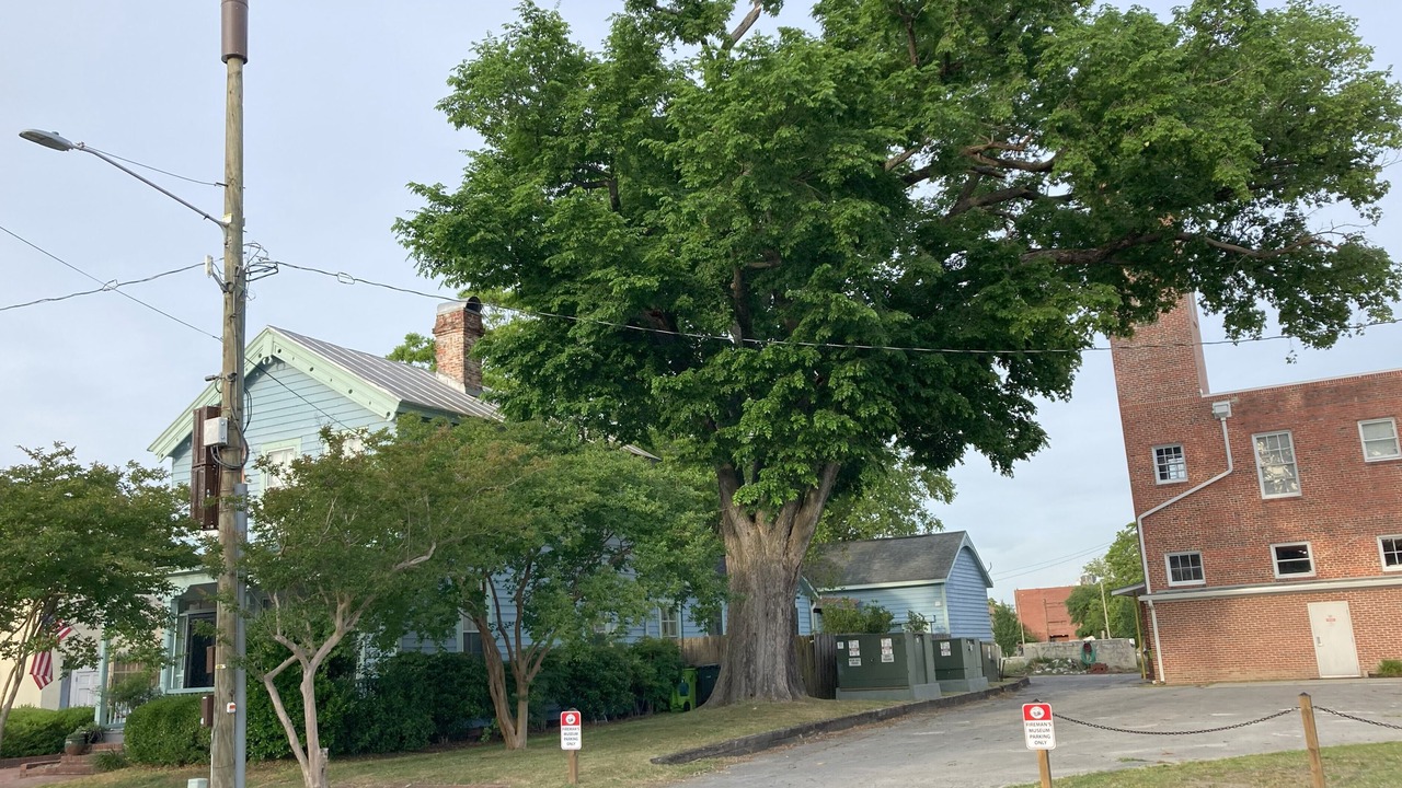 Photo of Outdoor in New Bern