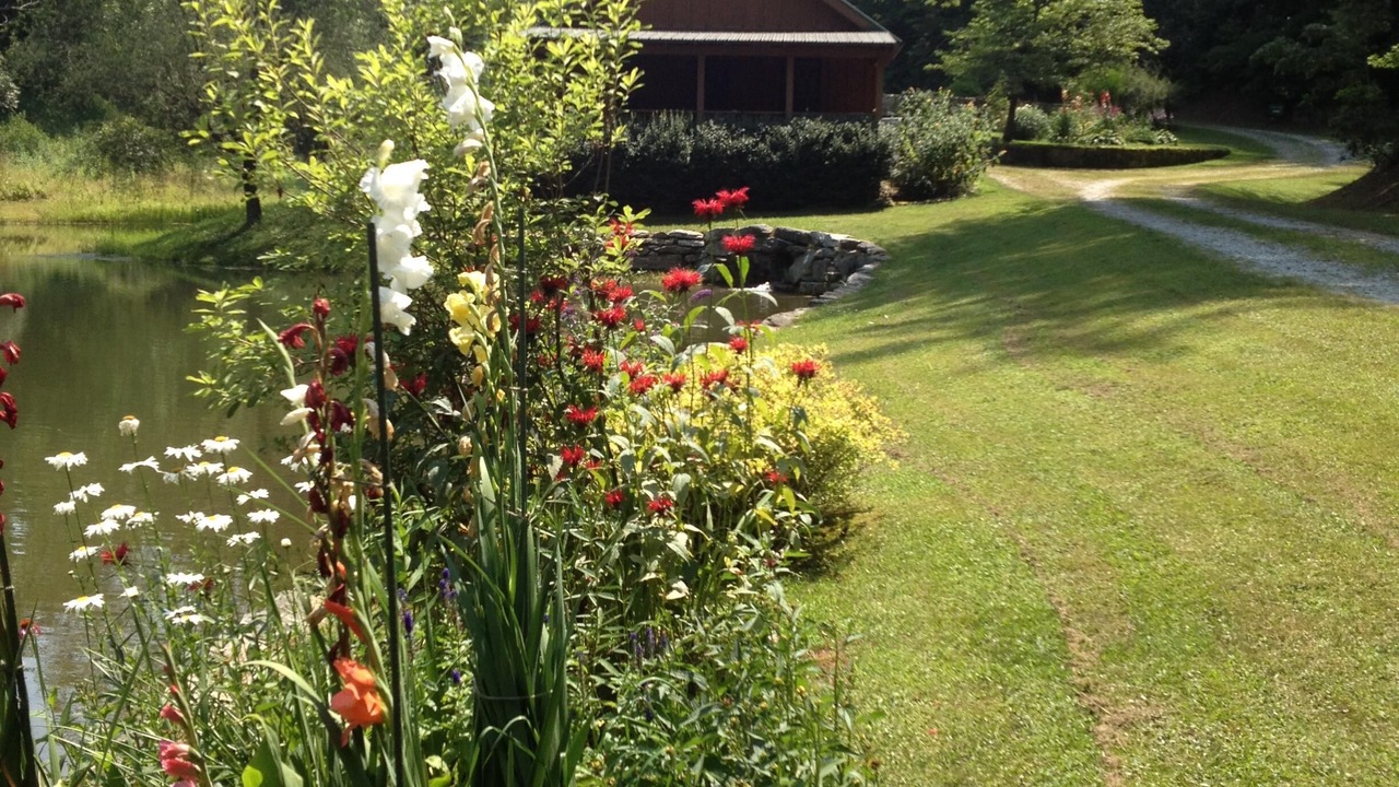 Photo of Outdoor in Brevard