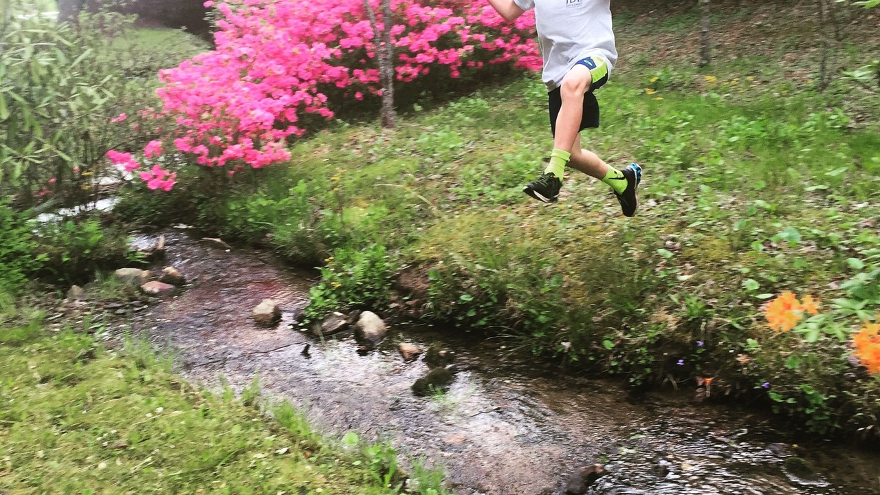 Photo of Outdoor in Brevard