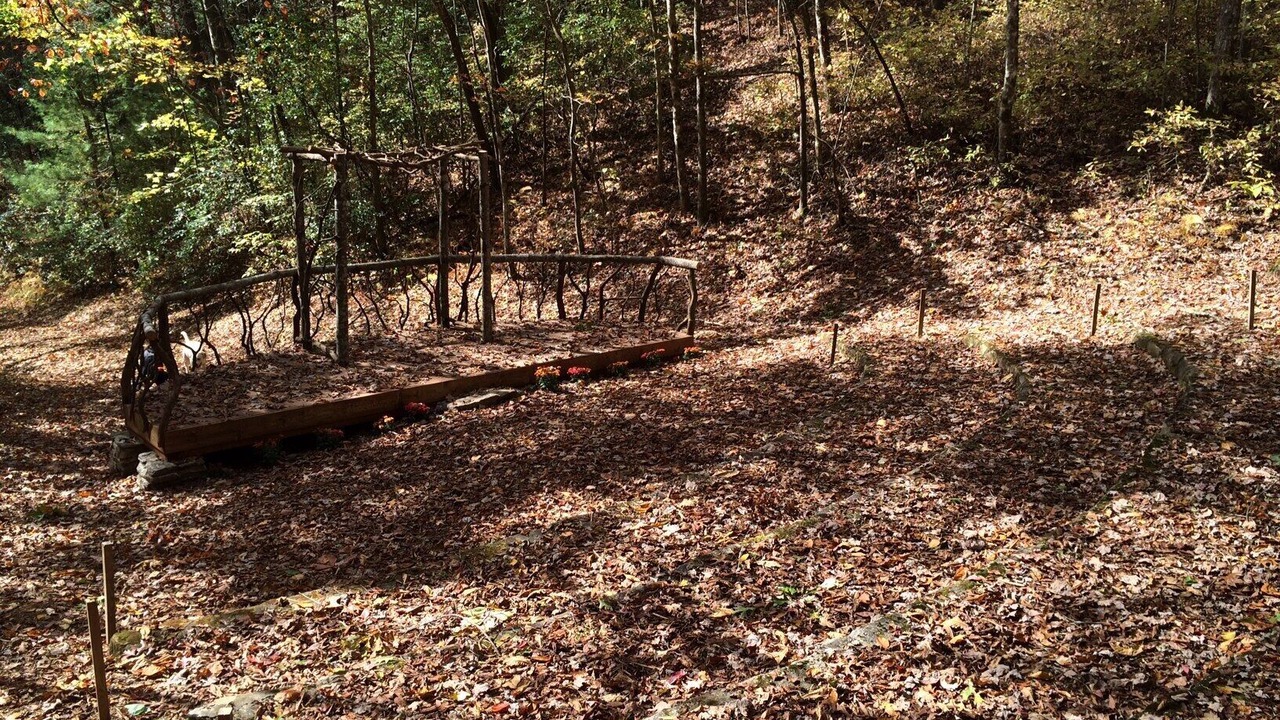 Photo of Outdoor in Brevard