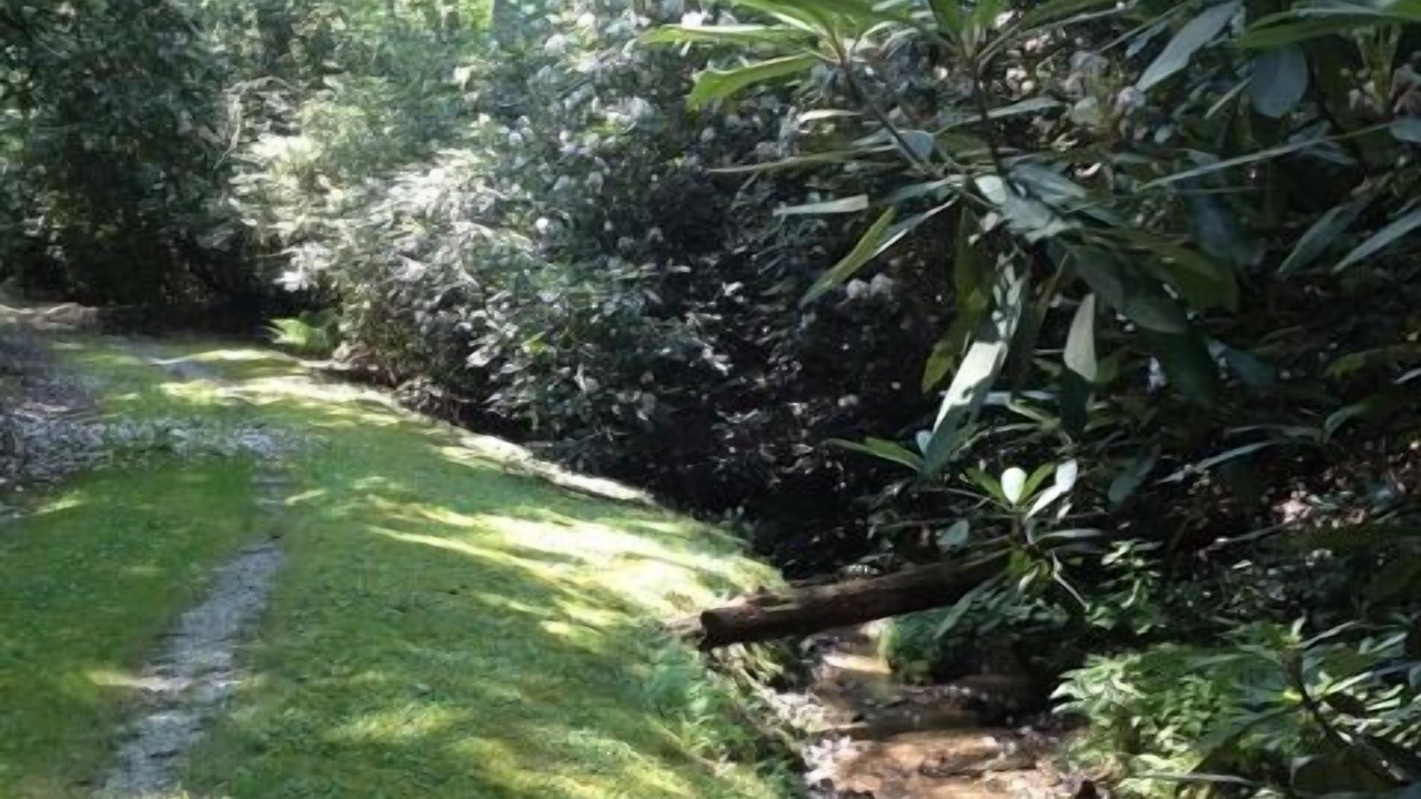 Photo of Outdoor in Brevard