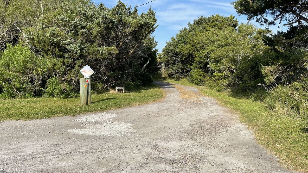 Photo of Others in Hatteras