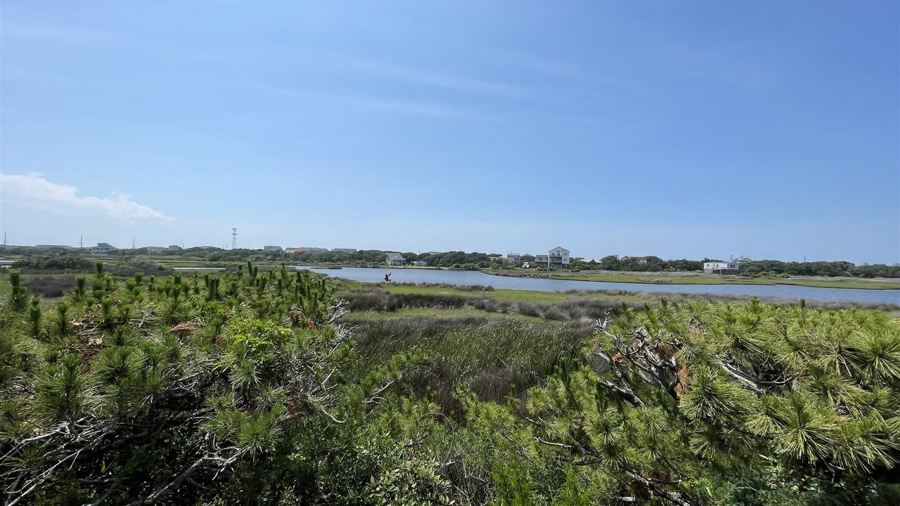 Photo of Others in Hatteras