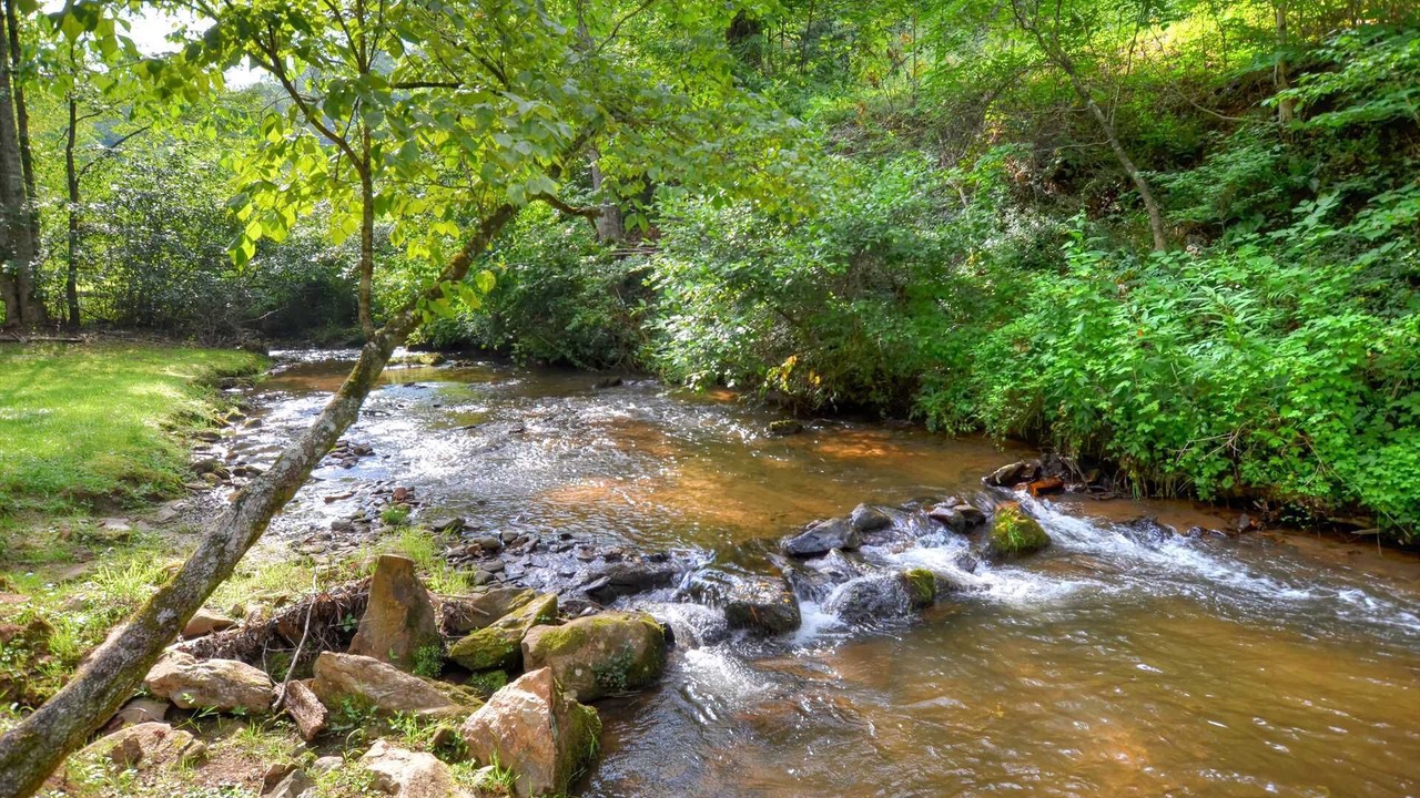 Photo of Others in Sylva