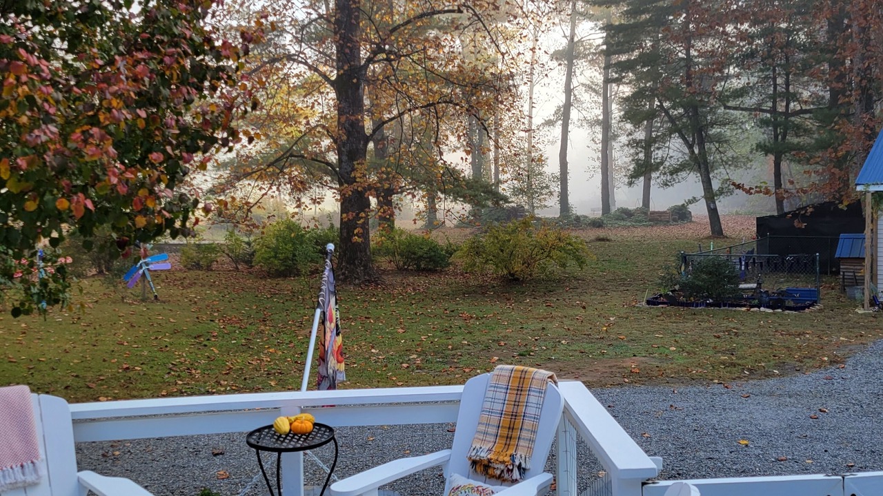 Photo of Outdoor in Lynn