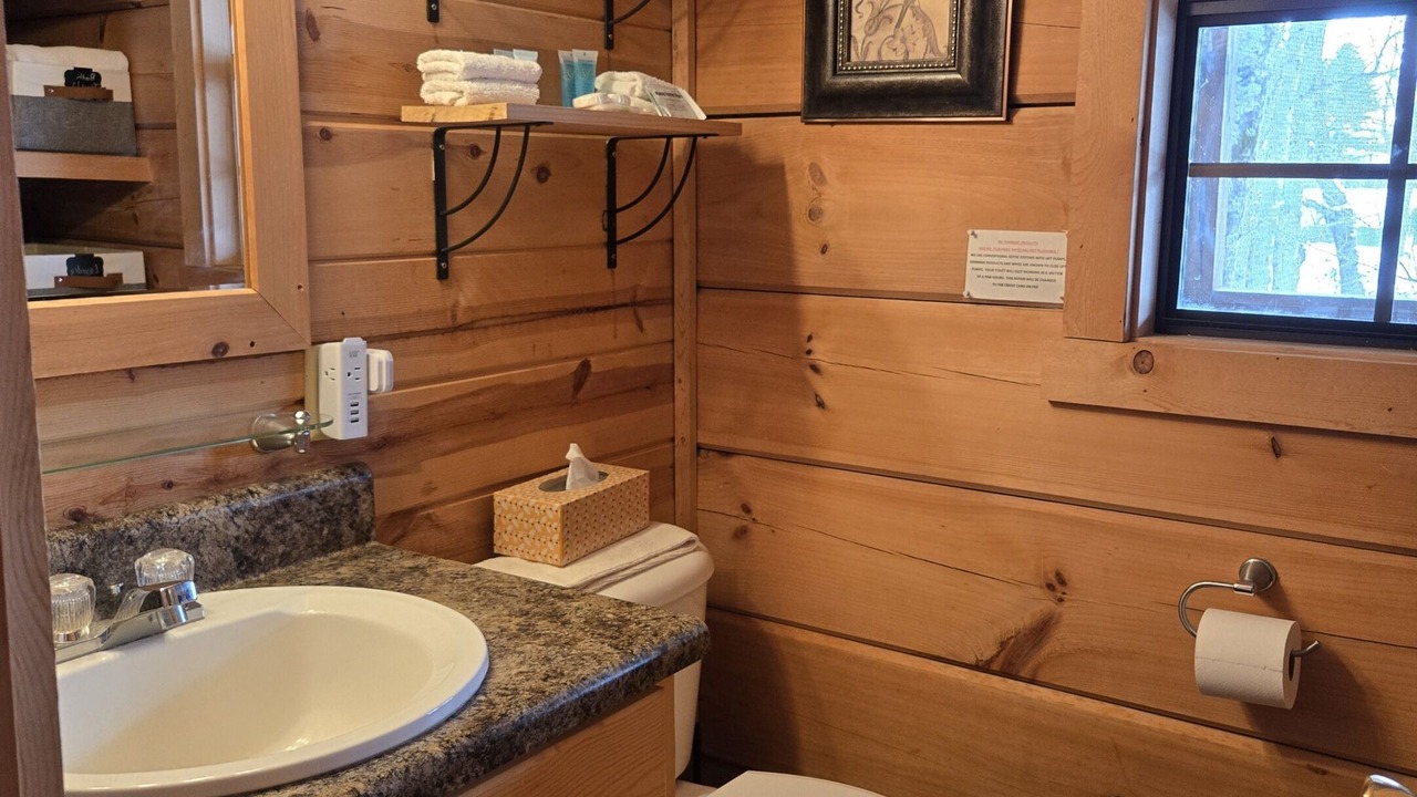 Photo of Bathroom in Altamont