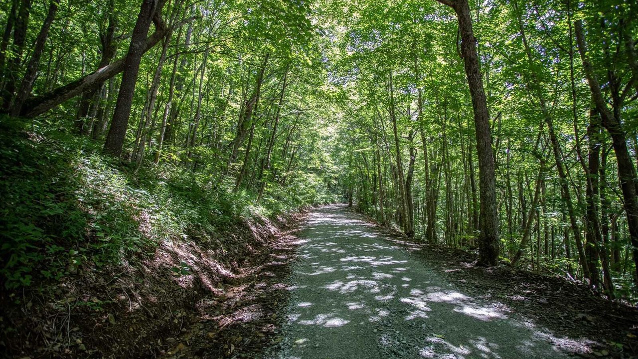 Photo of Outdoor in Todd