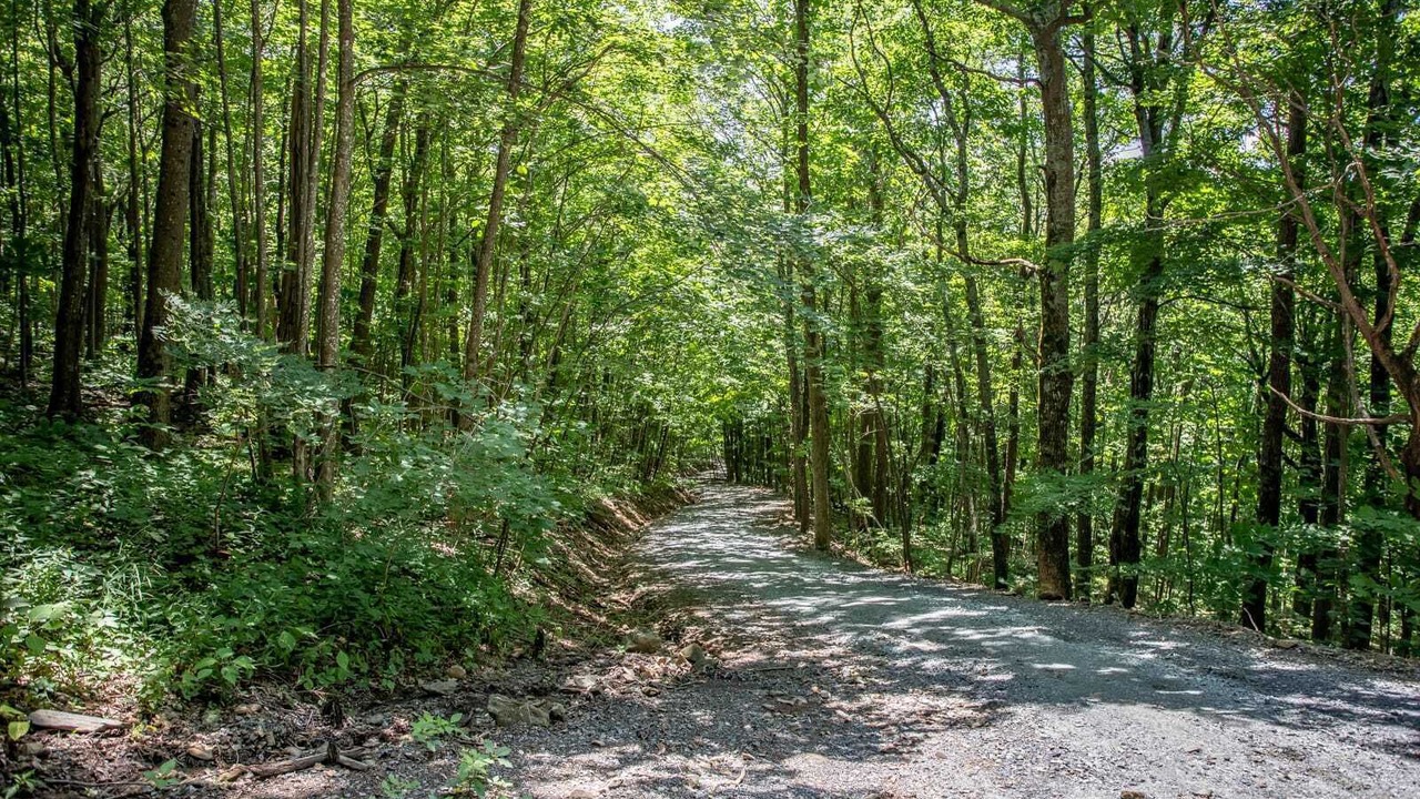 Photo of Outdoor in Todd