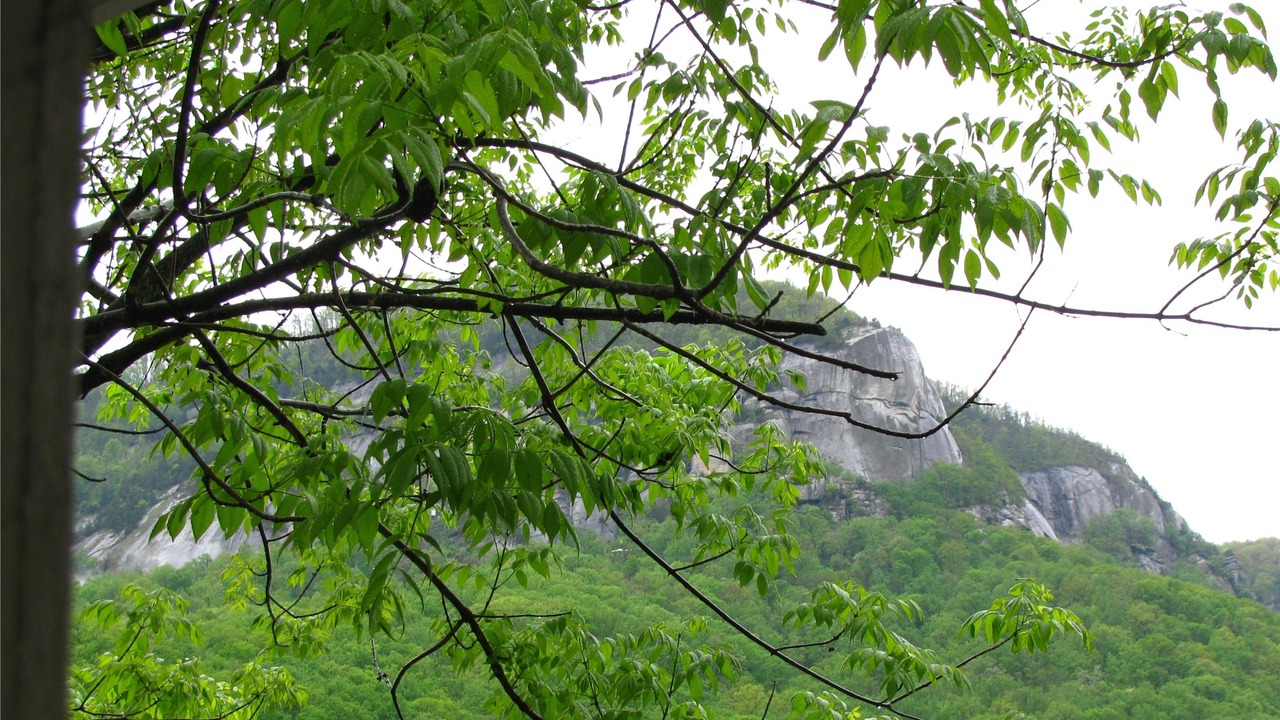 Photo of Others in Lake Lure
