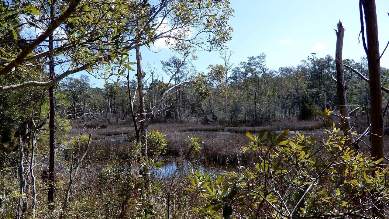 Photo of Outdoor in Kure Beach