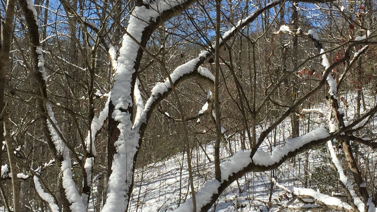 Photo of Others in Bryson City
