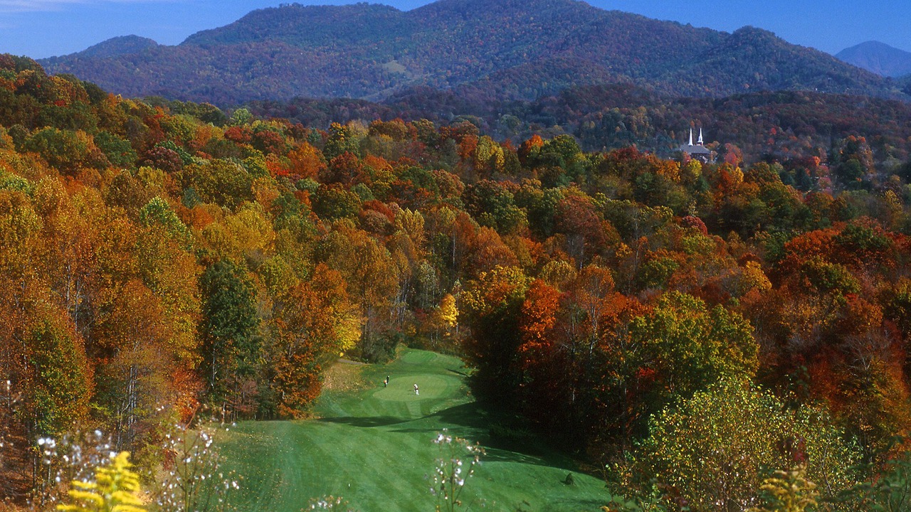 Photo of Others in Waynesville