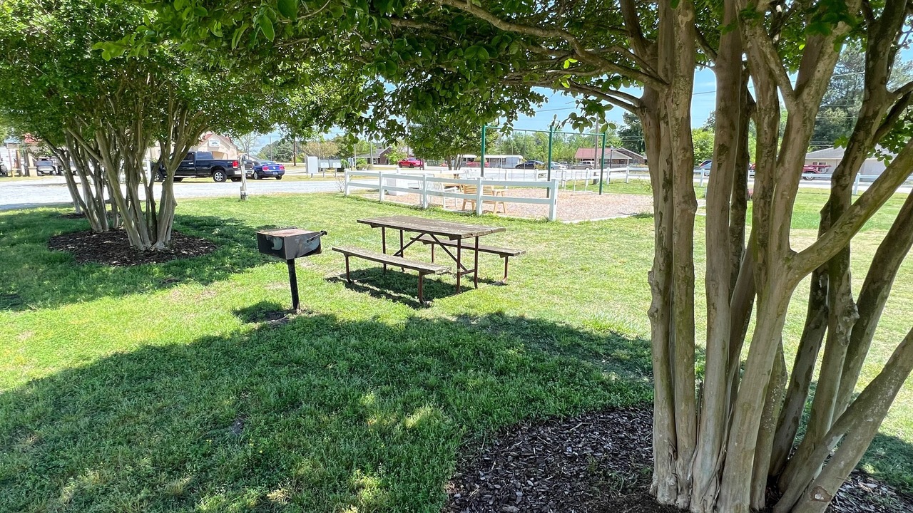 Photo of Outdoor in Four Oaks