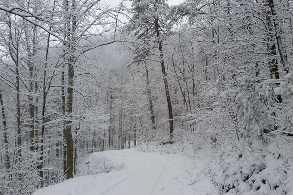 Photo of Outdoor in Bear Den