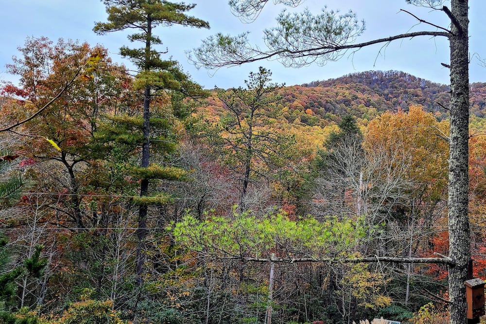 Photo of Patio Balcony in Bear Den