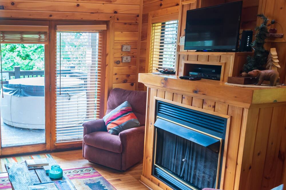Photo of Livingroom in Bear Den