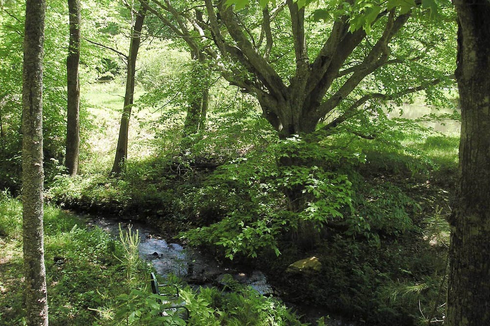 Photo of Outdoor in Swannanoa