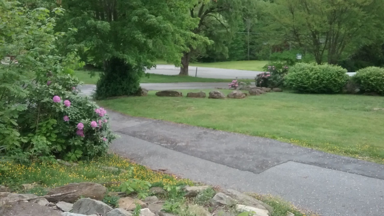 Photo of Outdoor in Maggie Valley