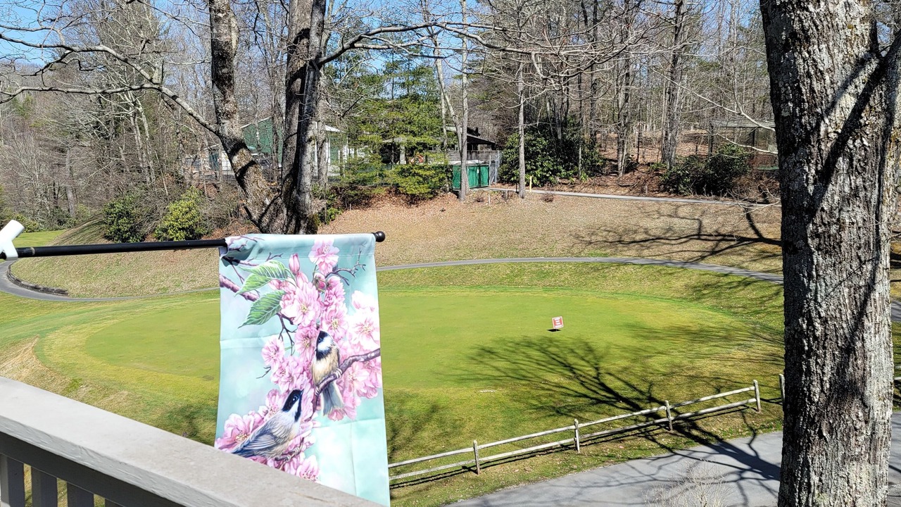 Photo of Outdoor in Newland