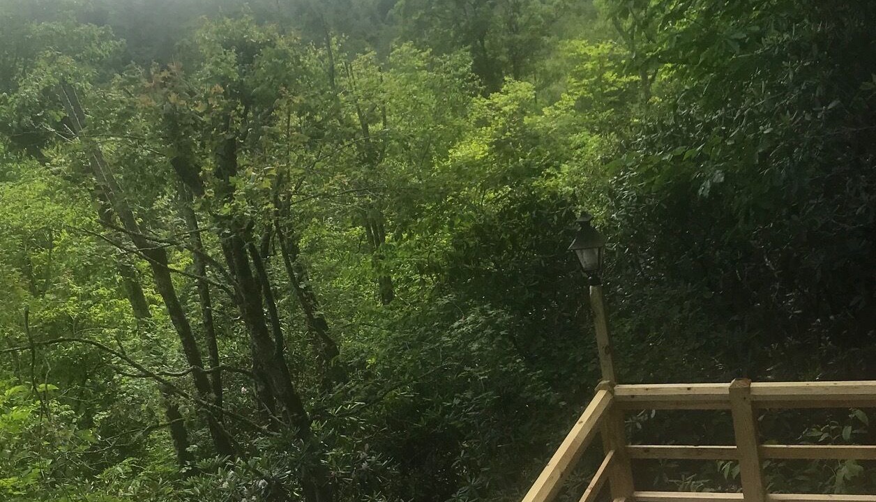 Photo of Outdoor in Highlands Hills