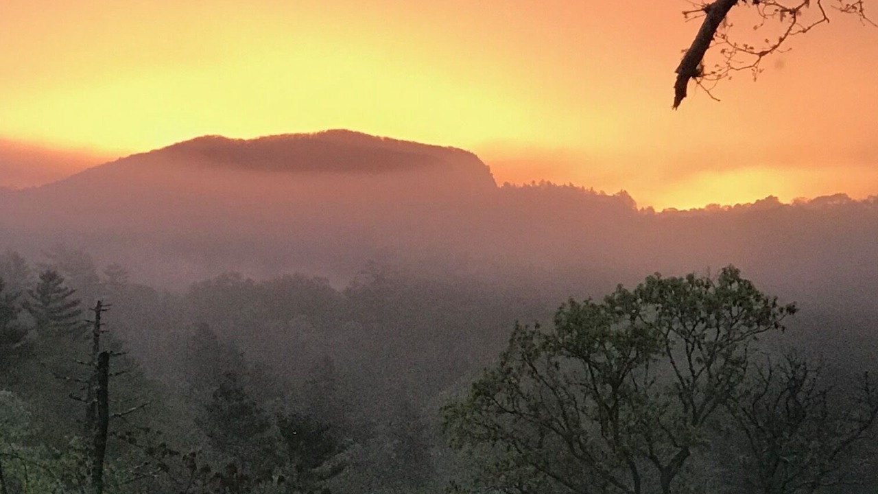 Photo of Others in Highlands Hills