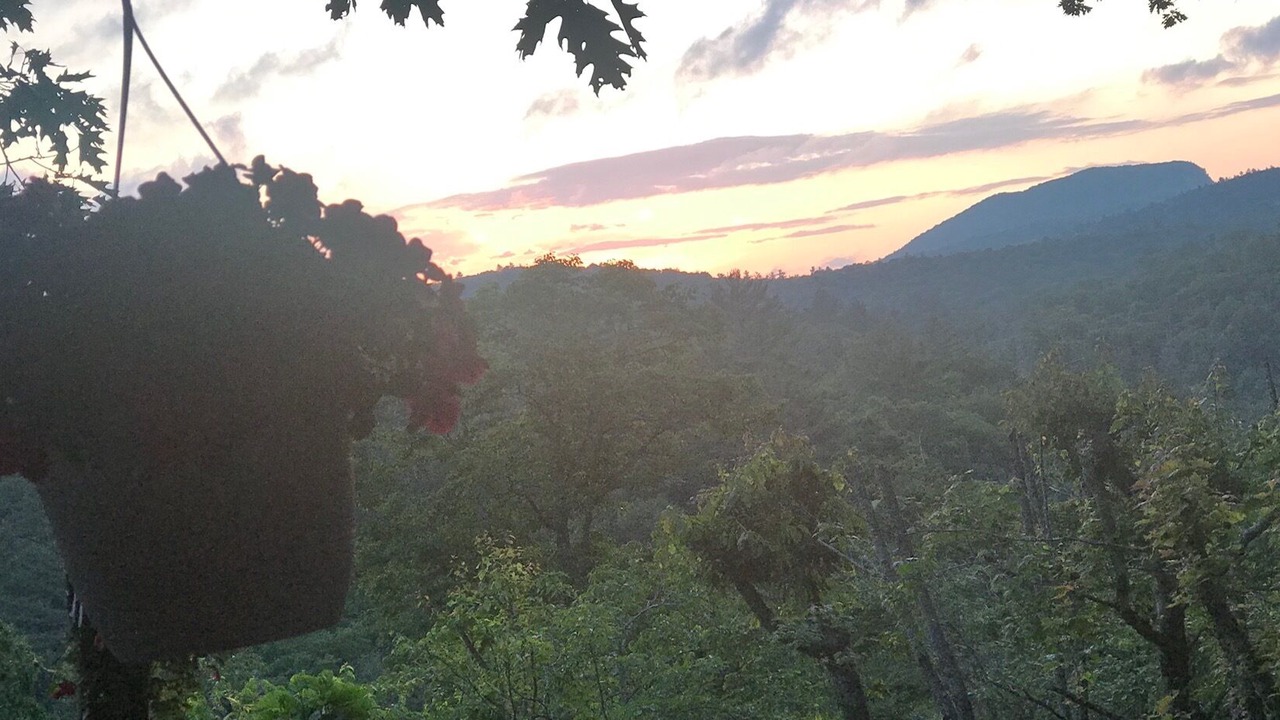 Photo of Outdoor in Highlands Hills