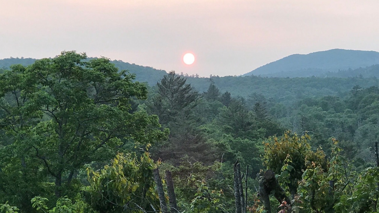 Photo of Others in Highlands Hills