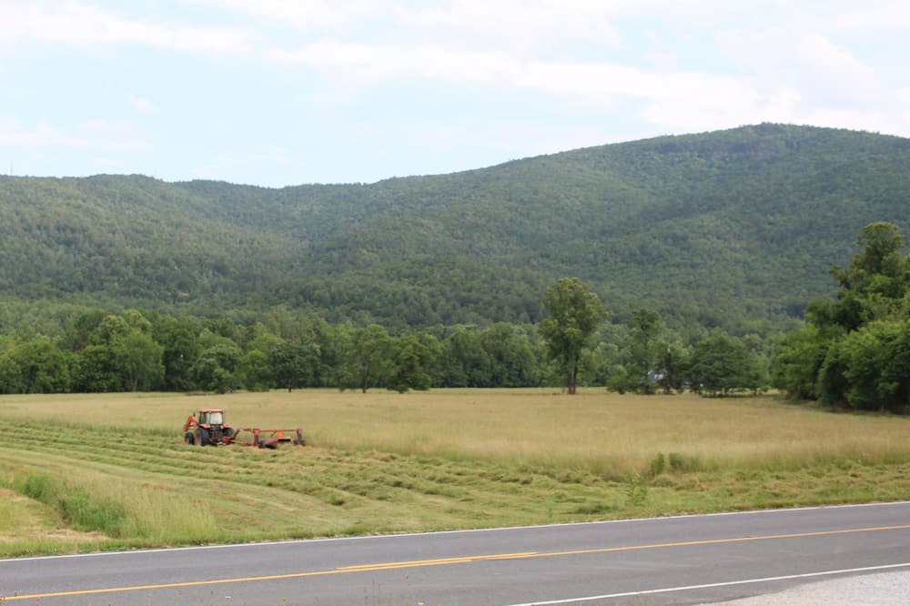 Photo of Outdoor in Marion
