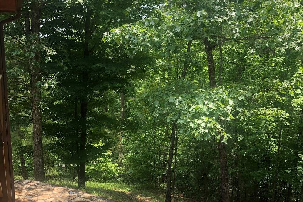 Photo of Outdoor in Murphy