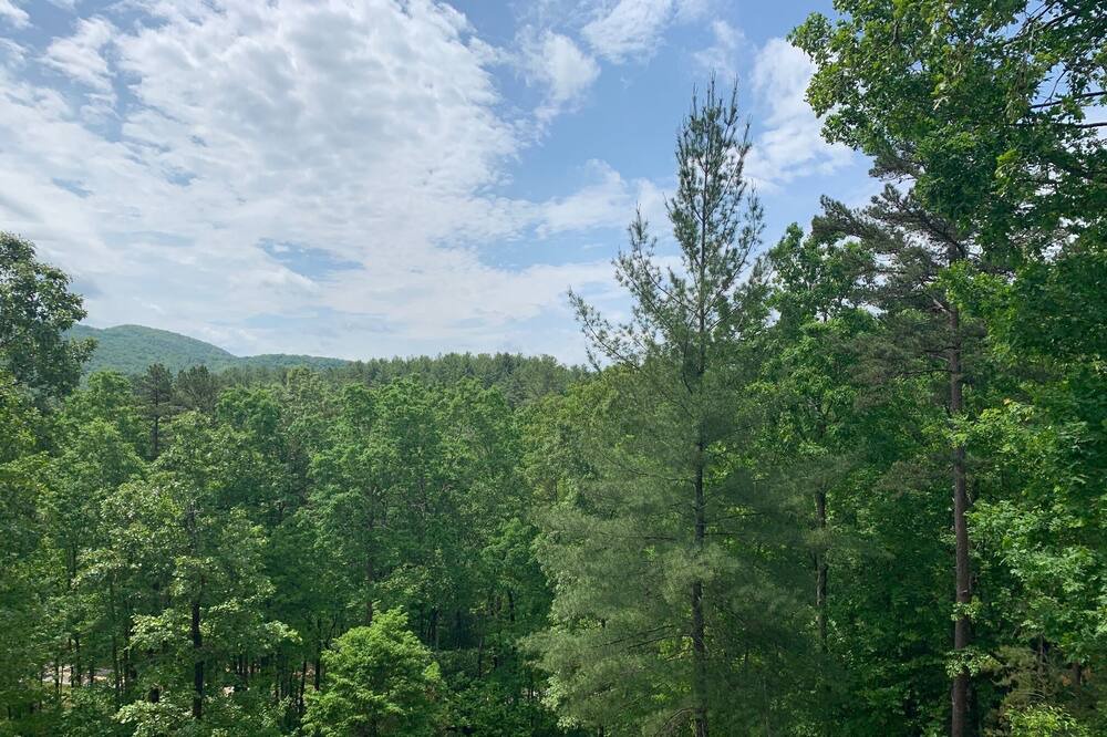 Photo of Outdoor in Murphy