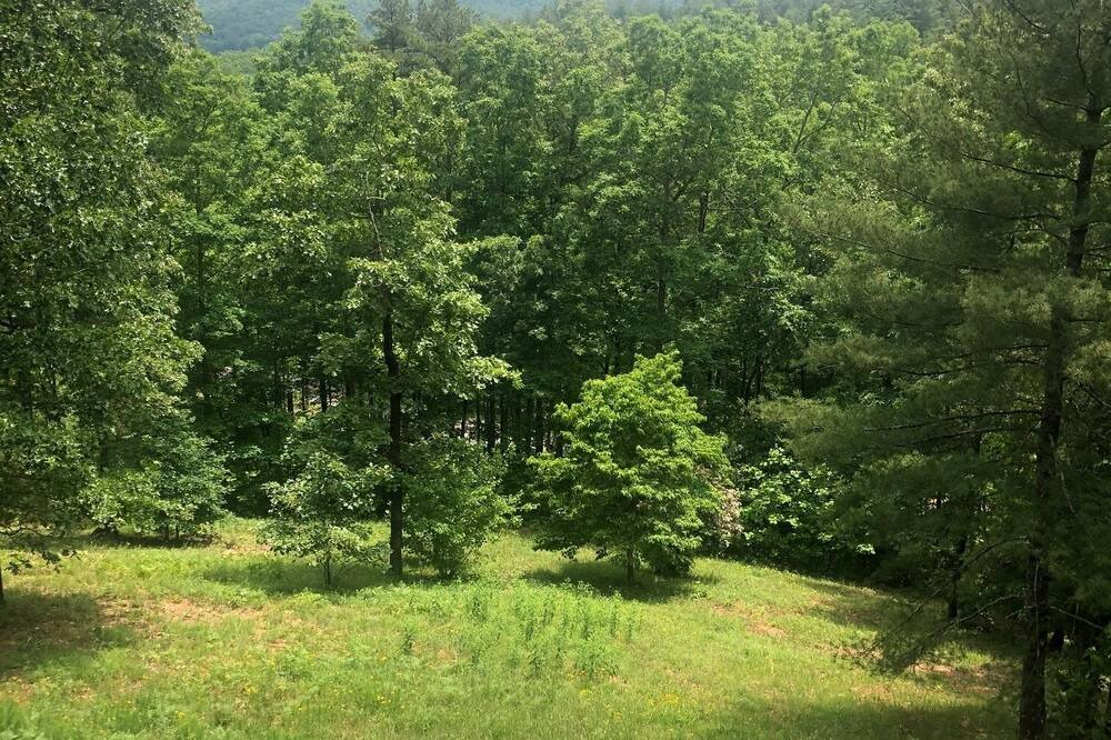 Photo of Outdoor in Murphy